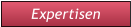 Expertisen